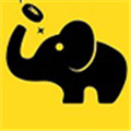 大象免费视频今日更新